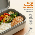 REDSEA Portable Heated Lunch Box